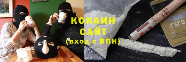 хмурый Алексин