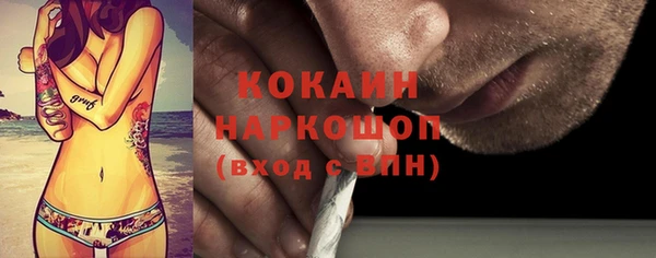 хмурый Алексин