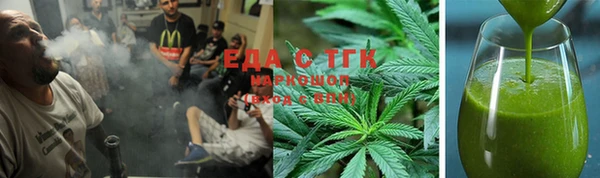 хмурый Алексин