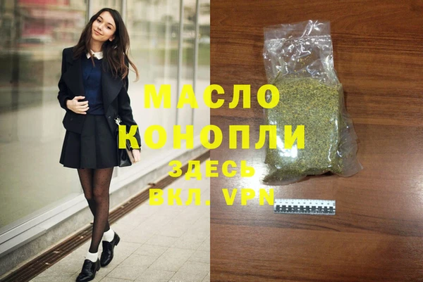 хмурый Алексин