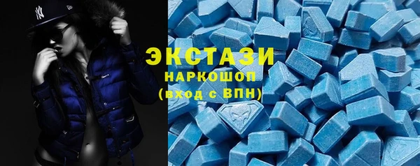 хмурый Алексин