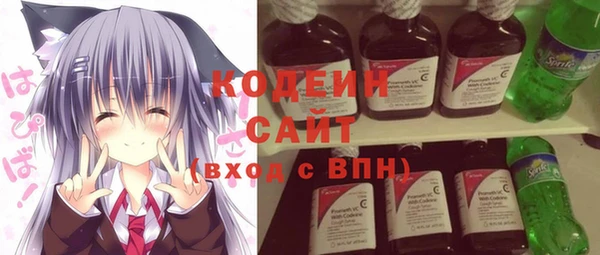 хмурый Алексин