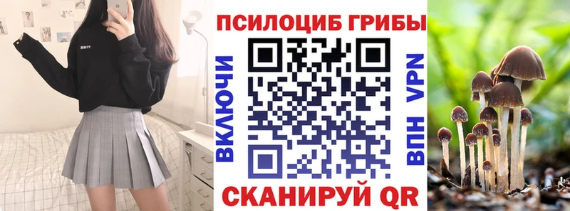 Псилоцибиновые грибы Psilocybine cubensis  купить   Менделеевск 
